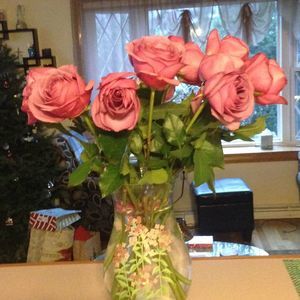 Meet your Posher, Pamela